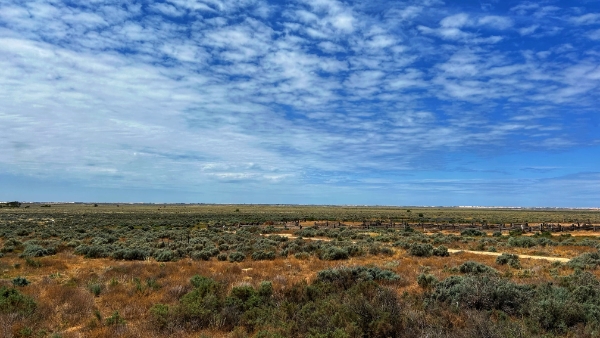 Lake Mungo