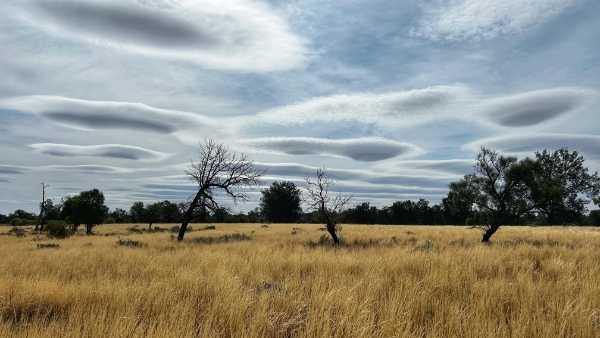 Simple camping 
with a swag