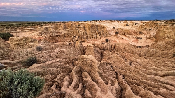 Mungo Walls of 
China